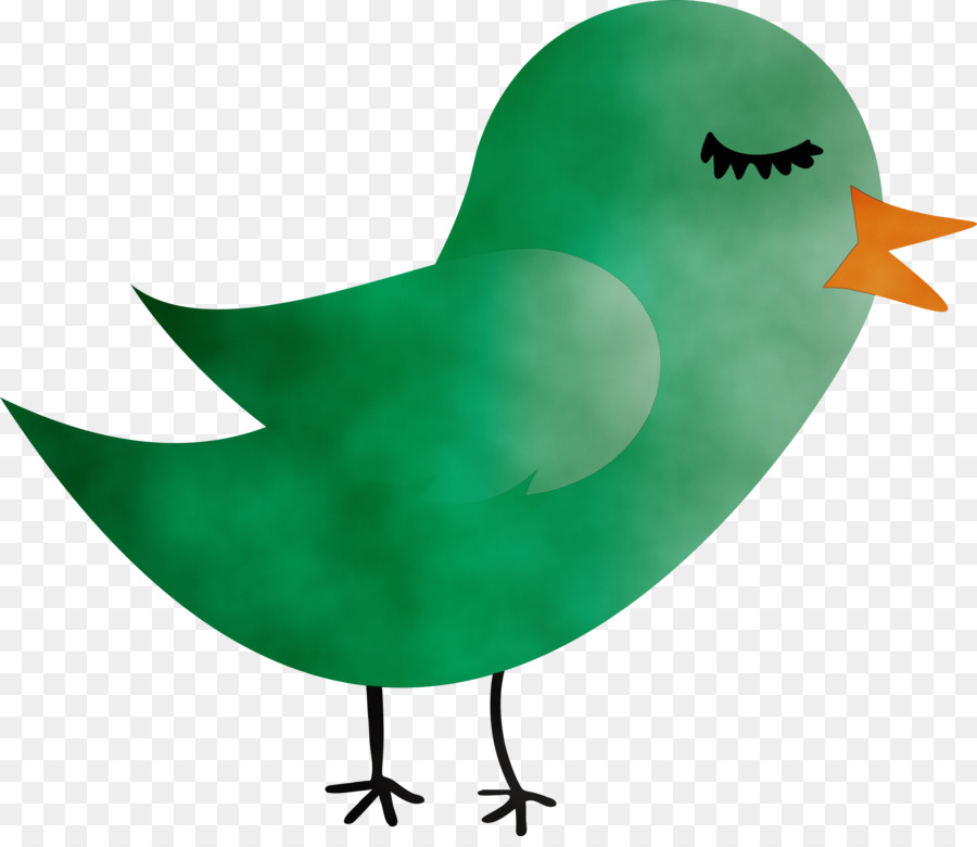 الأخضر，الطيور PNG