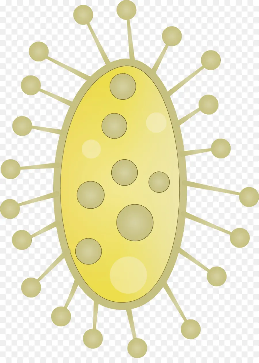 البكتيريا الصفراء，الجراثيم PNG