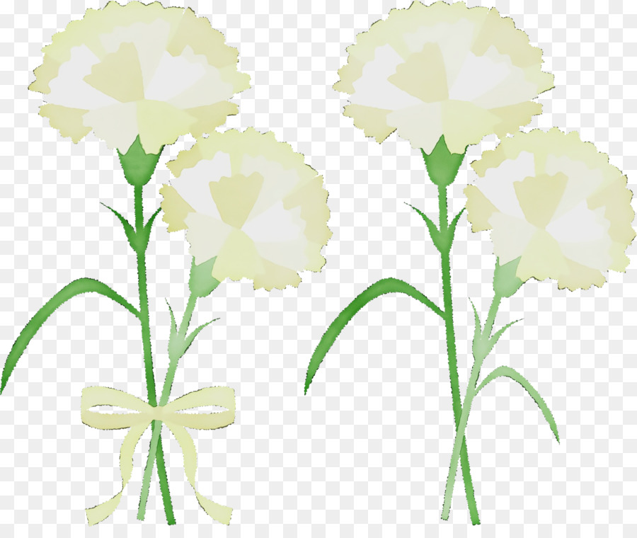 تصميم الأزهار，الجذعية النباتية PNG