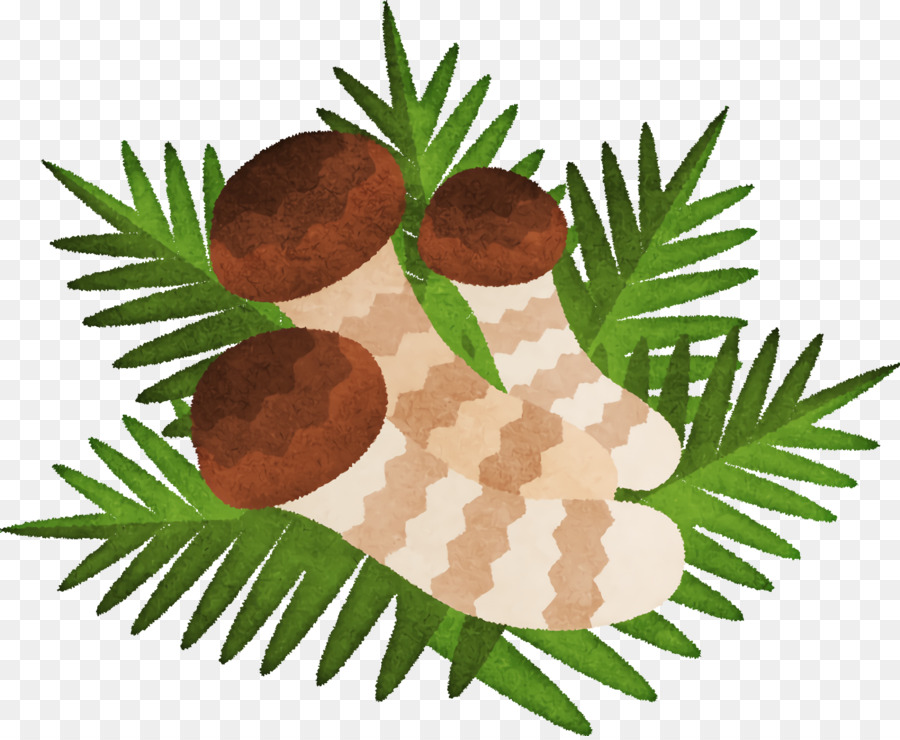 الفاكهة， PNG