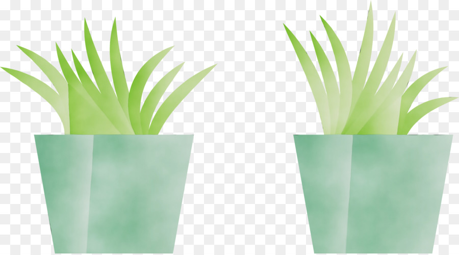 زهور，ل Houseplant PNG