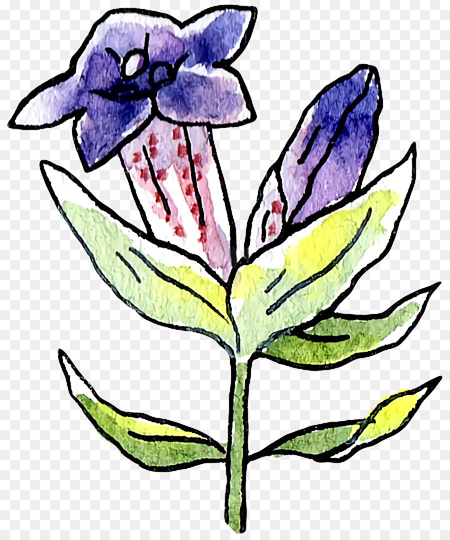 تصميم الأزهار，الجذعية النباتية PNG