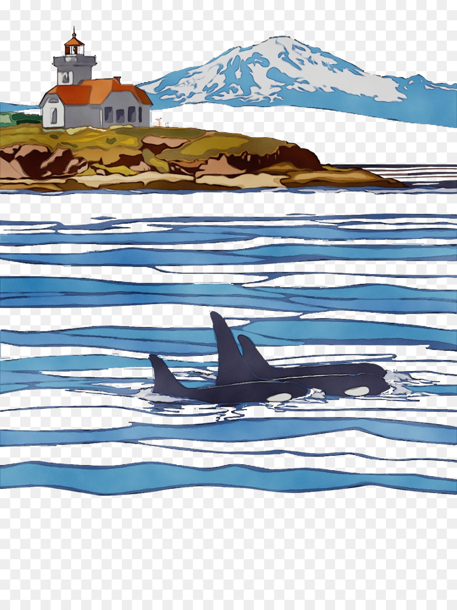 القطب الشمالي，الحوت القاتل PNG