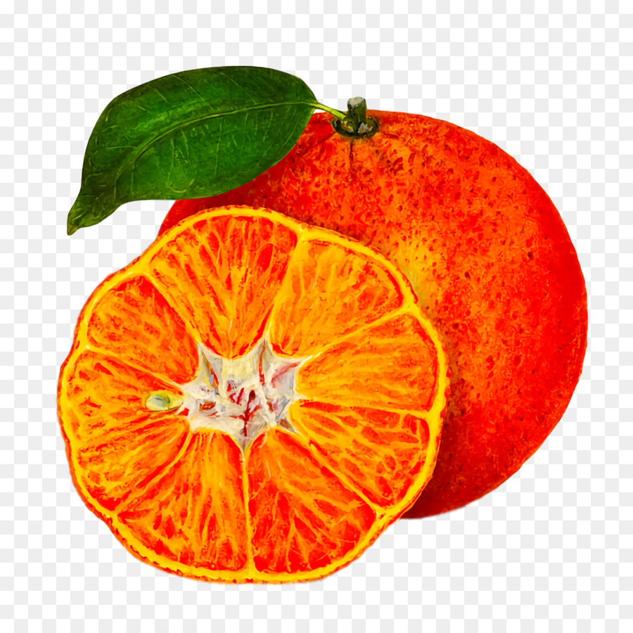 برتقال دم الزغلول，برتقال PNG