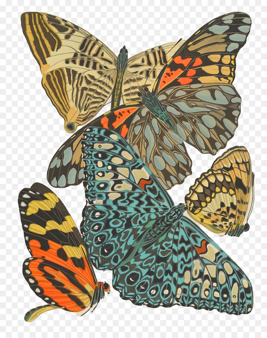 العاهل الفراشة，Brushfooted الفراشات PNG
