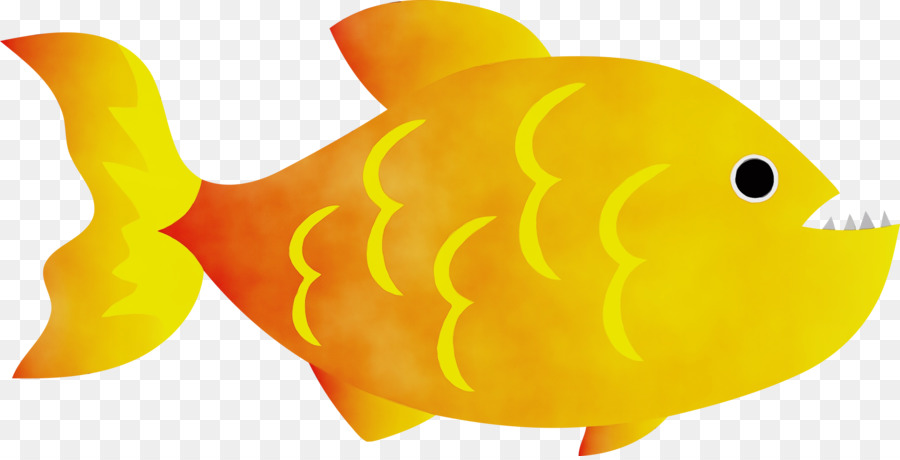 الأصفر，الأسماك PNG