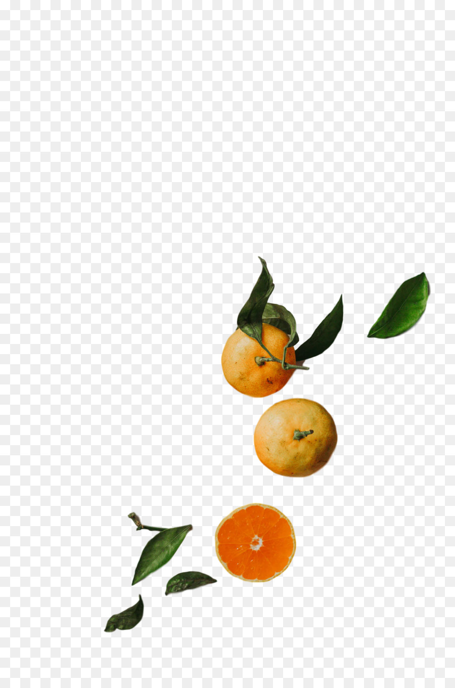 برتقالي مرير，كالامانسي PNG