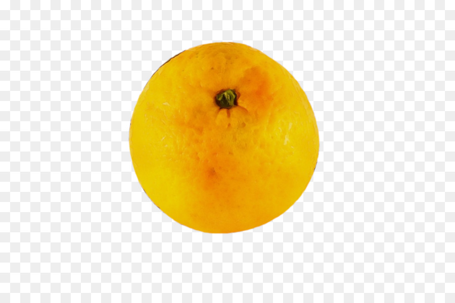 البرتقالي，المطبخ النباتي PNG