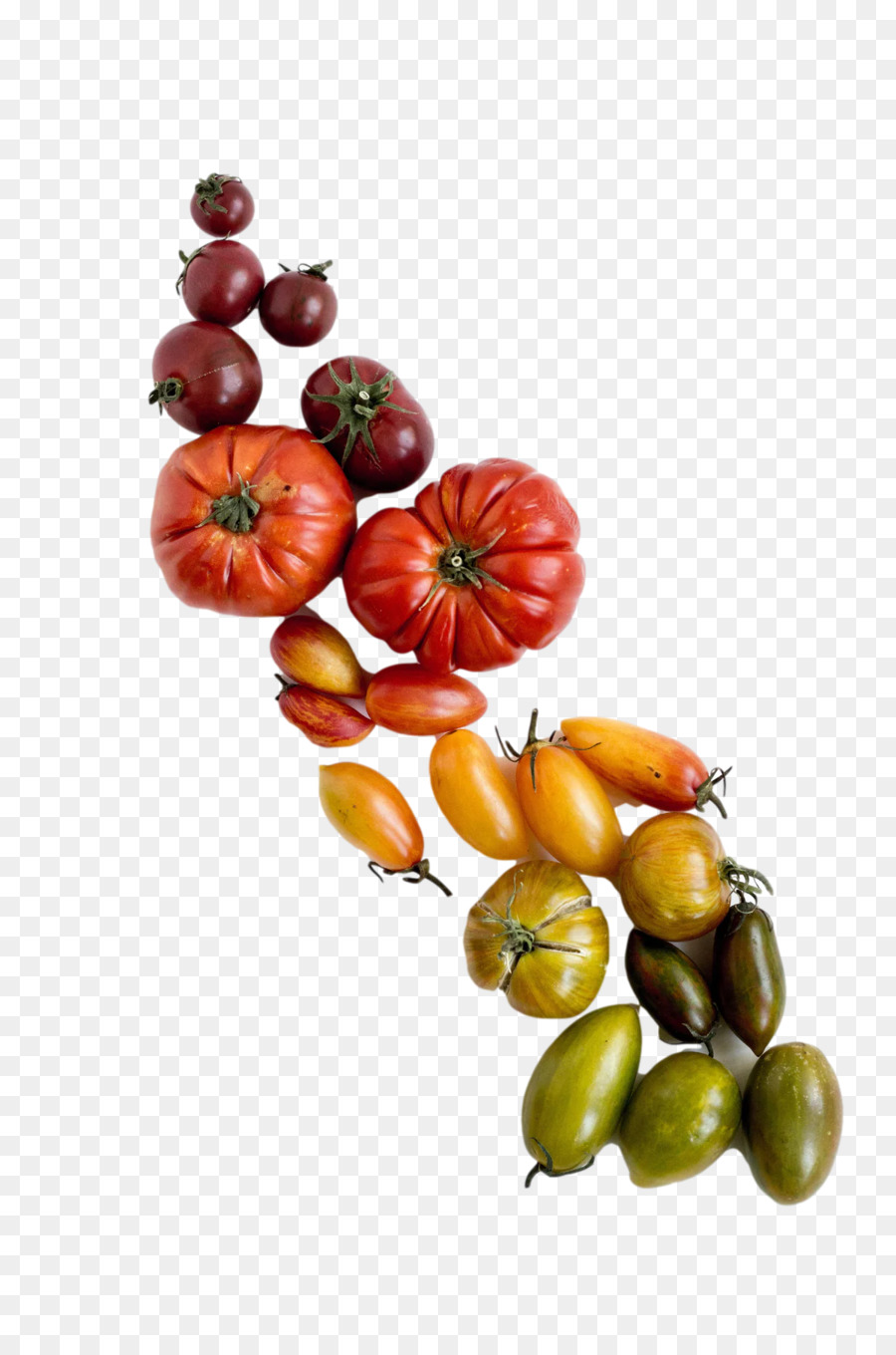 طماطم，المطبخ النباتي PNG