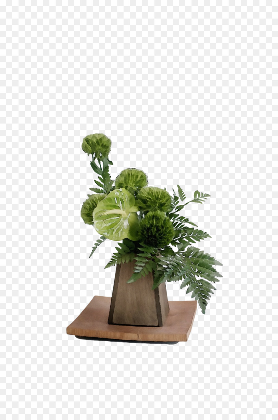 تصميم الأزهار，ل Houseplant PNG