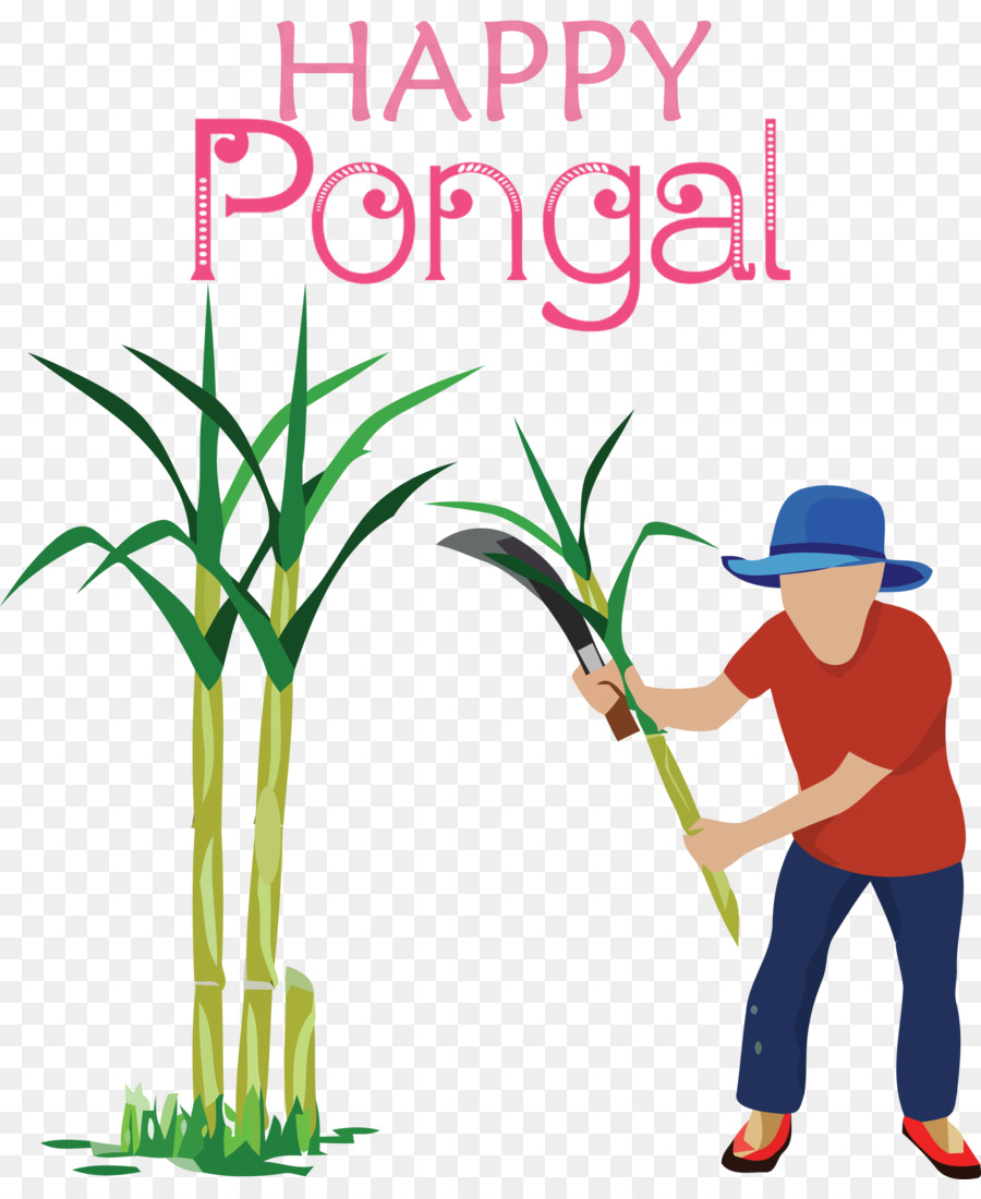 قصب السكر，الأعشاب PNG