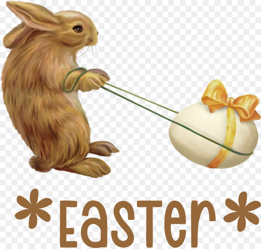 أرنب عيد الفصح，بيضة عيد الفصح PNG