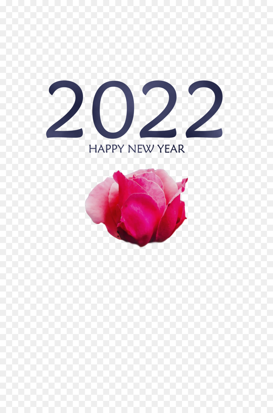 الفراولة，2022 PNG