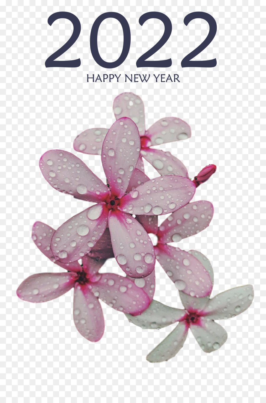 سنة جديدة سعيدة，سنه جديده PNG