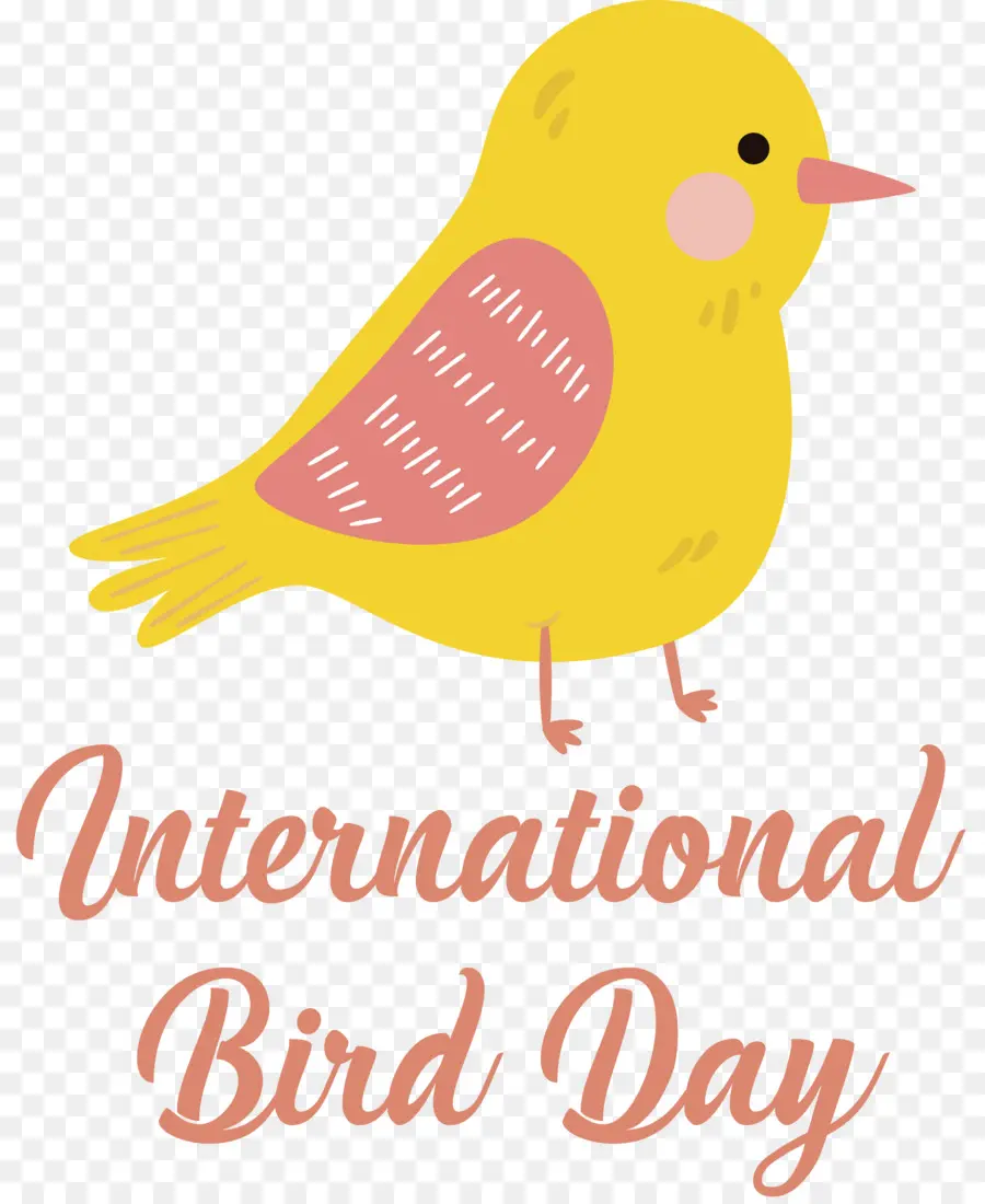 يوم الطيور الدولي，الطيور اليوم PNG