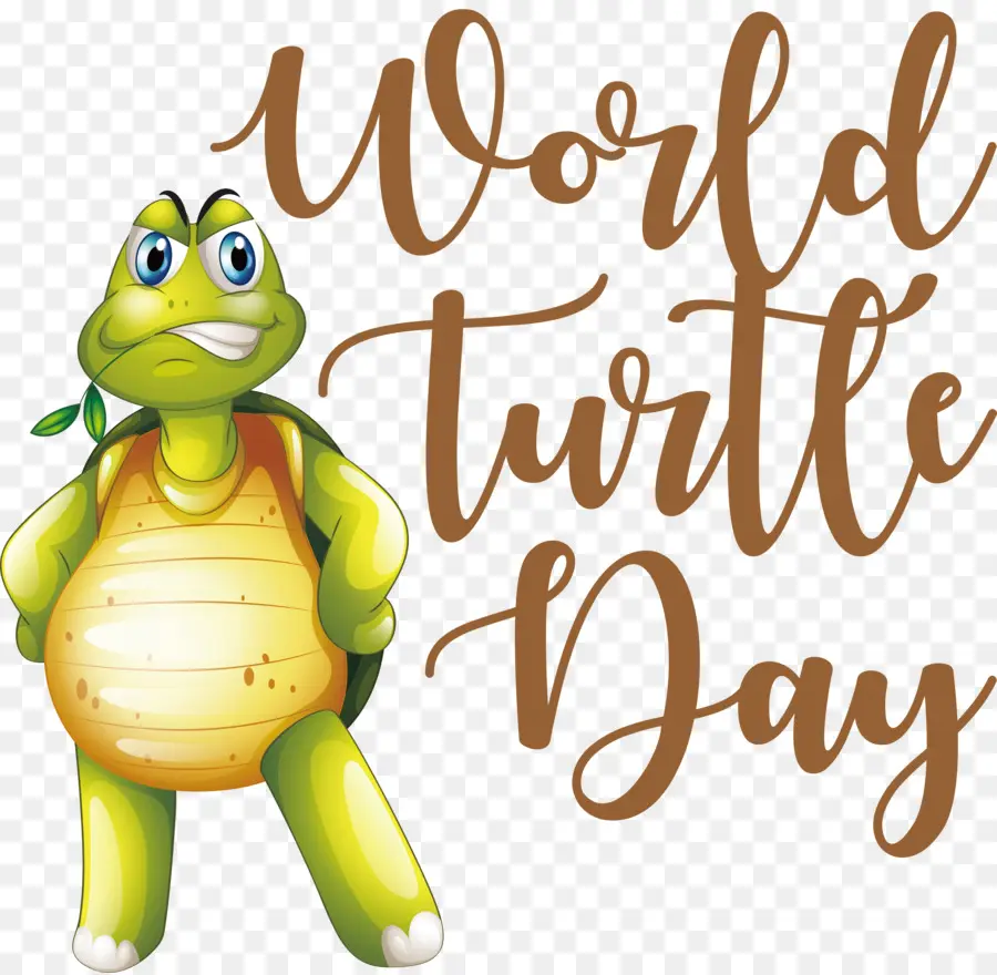 يوم السلاحف，عالم السلاحف اليوم PNG