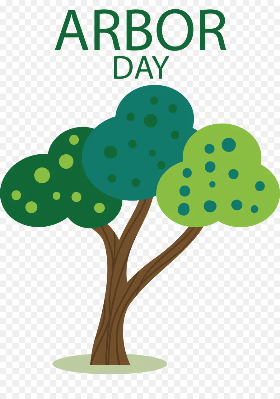 يوم الشجرة，الشجرة PNG
