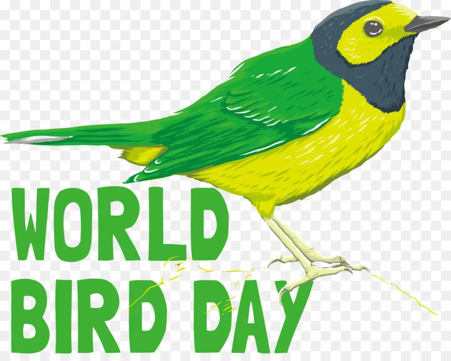 الطيور اليوم，يوم الطائر الدولي PNG