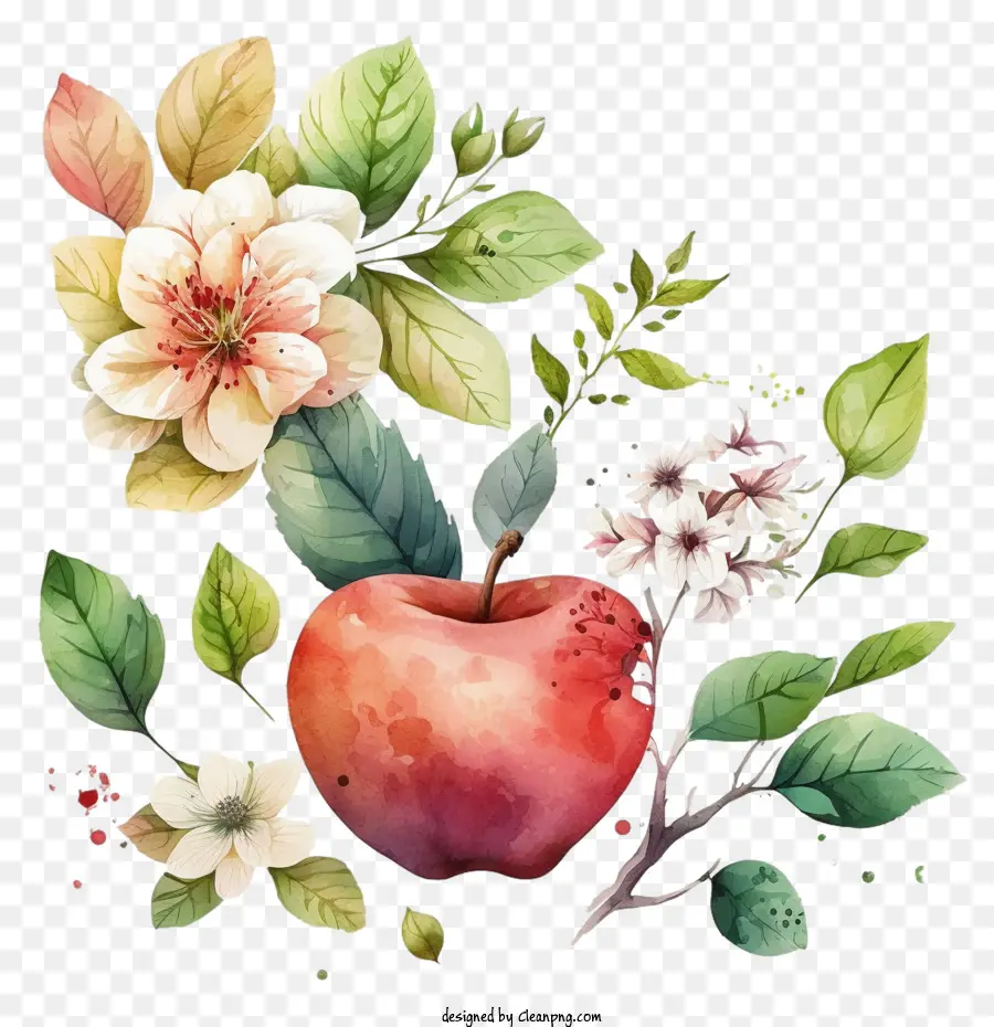 تفاحة مرسومة باليد，ألوان مائية أبل PNG
