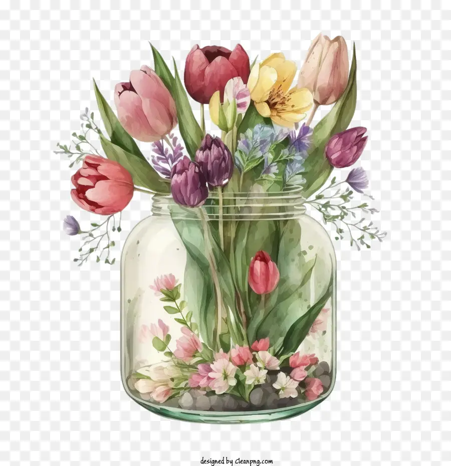 Tulip بالألوان المائية，زنبق لطيف PNG