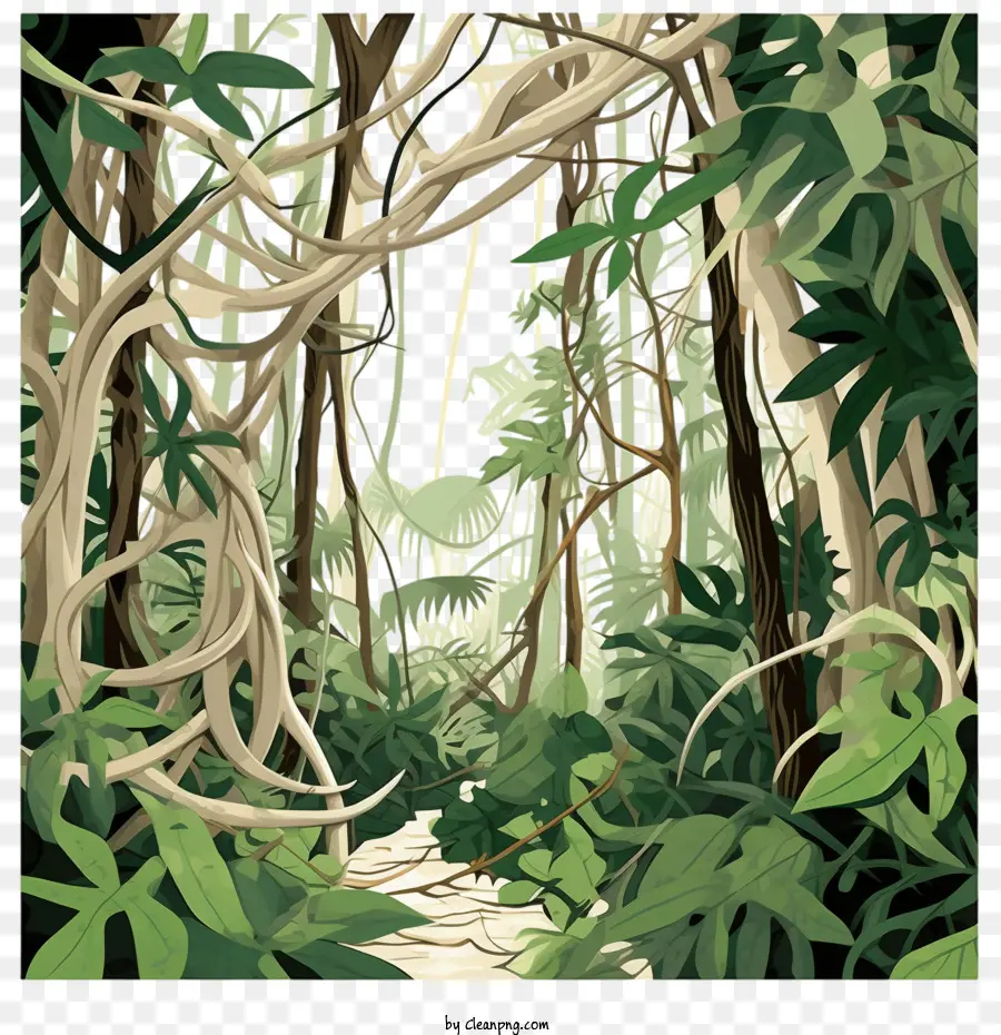 الغابة الاستوائية，الغابة PNG