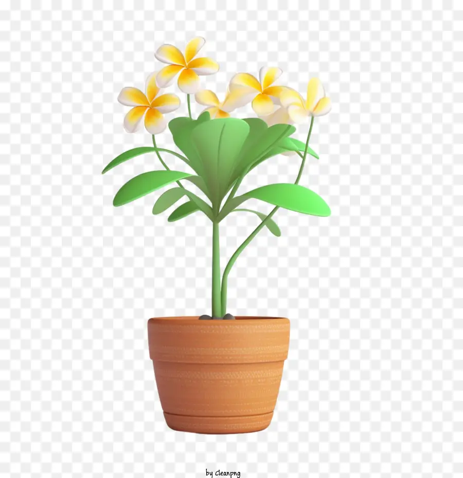 بلوريا，وعاء الزهور PNG