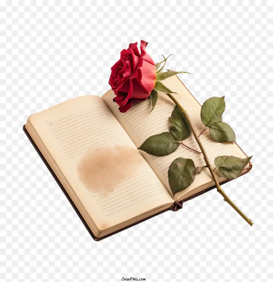 كتاب مذكرات الورد，كتاب مذكرات PNG