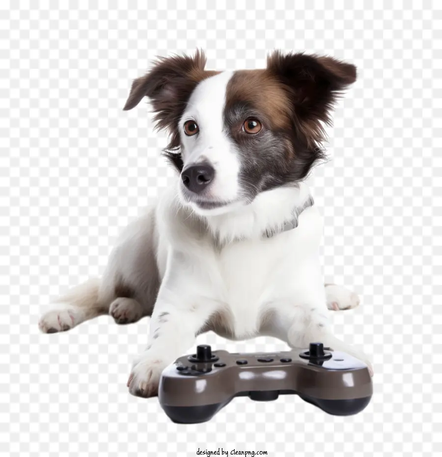 يوم ألعاب الفيديو，الكلب PNG