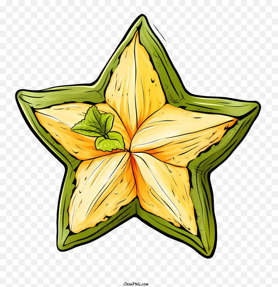 الثمرة النجمية，الزهور PNG