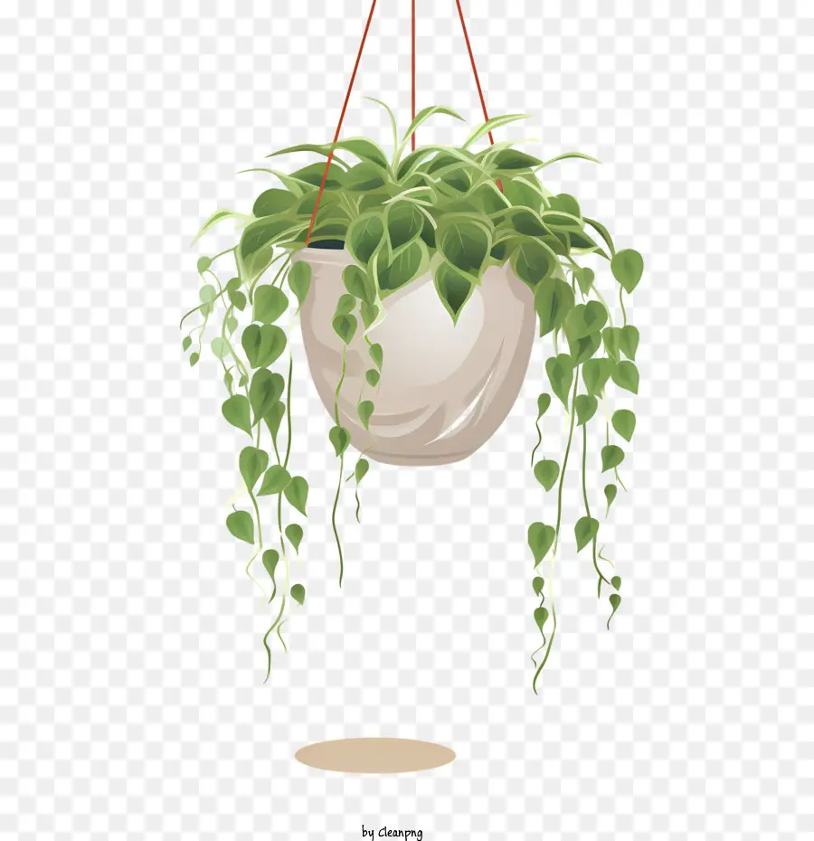 نبات معلق مع وعاء，محفوظ بوعاء النباتات PNG