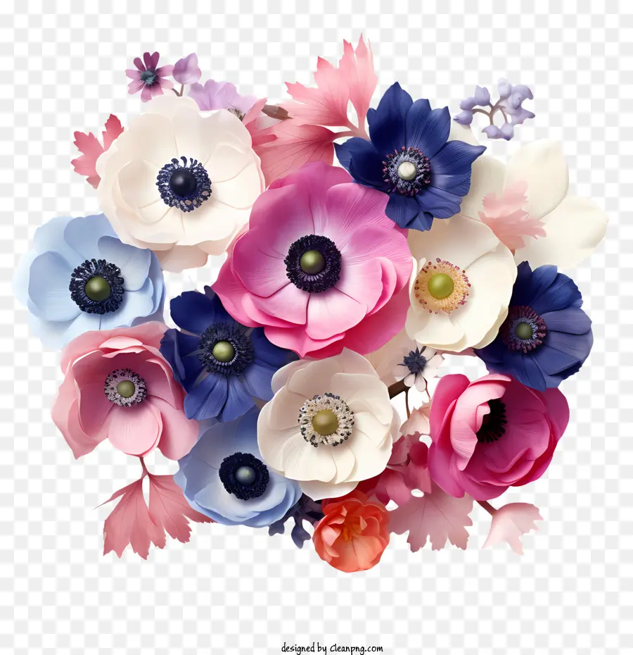 شقائق النعمان زهرة，الزهور PNG