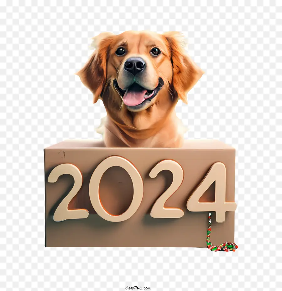 2024 رأس السنة，كلب PNG