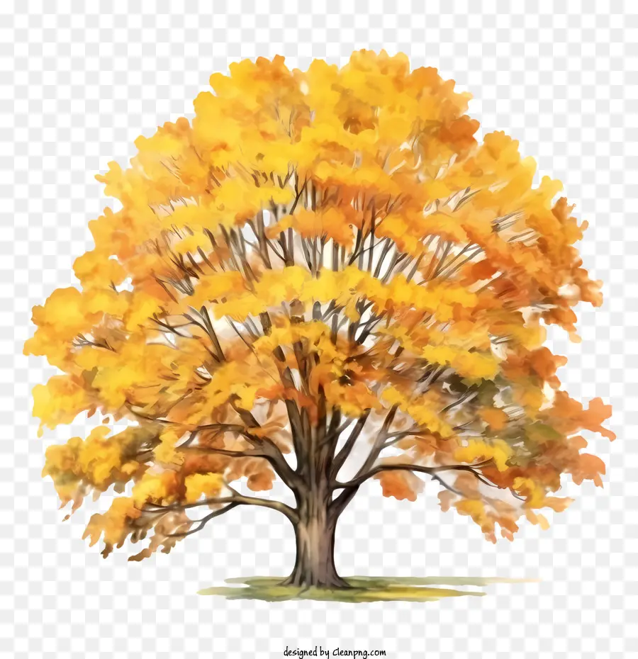 شجرة الخريف，ورقة PNG