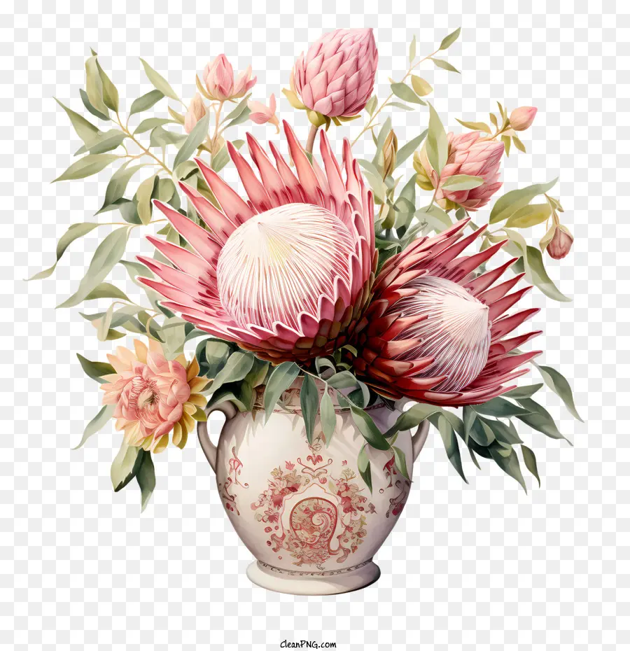 بروتيا زهرة，الزهور الوردية PNG