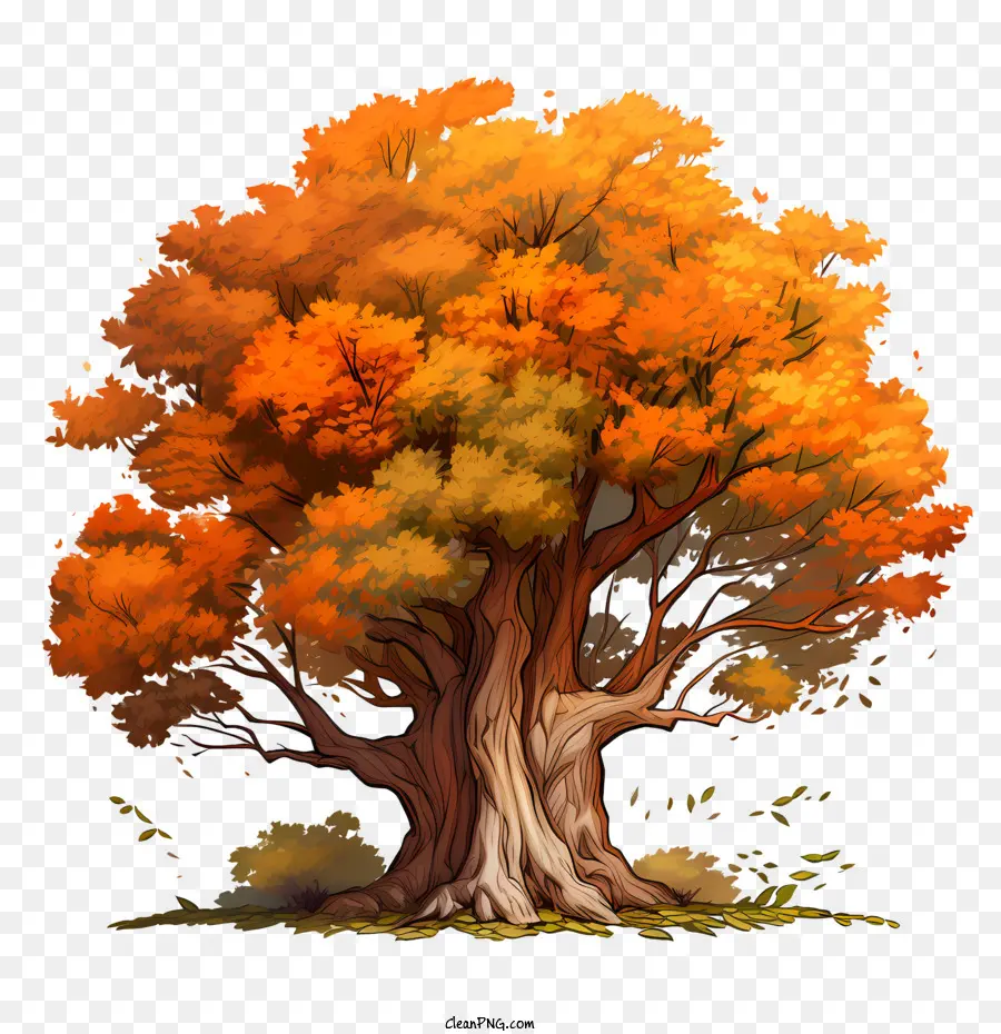 شجرة الخريف，شجرة PNG