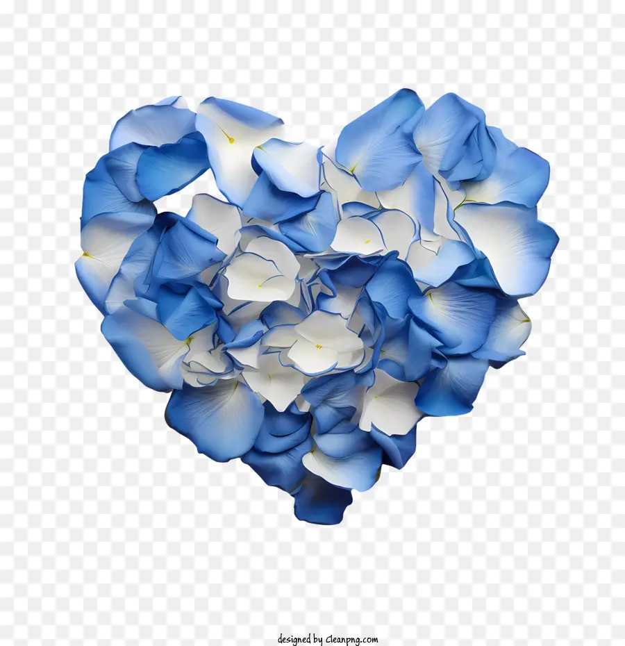 بتلات الورد الأزرق，القلب PNG