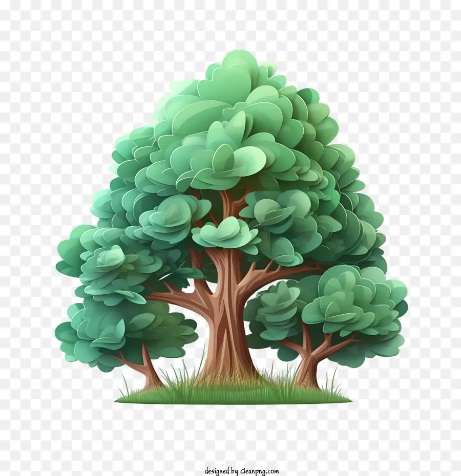 شجرة دائمة الخضرة，الأشجار الخضراء PNG