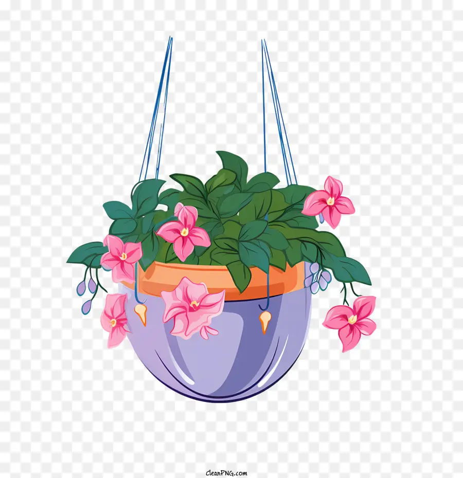 نبات معلق مع وعاء，الزهور PNG
