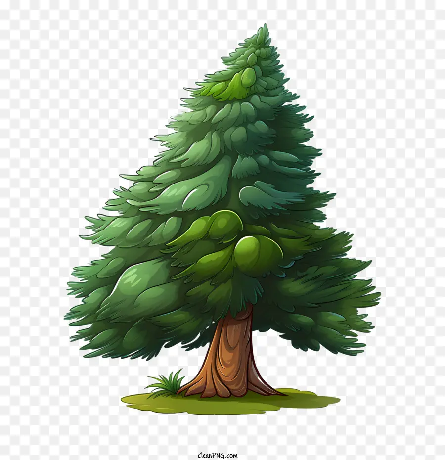 شجرة دائمة الخضرة，شجرة PNG