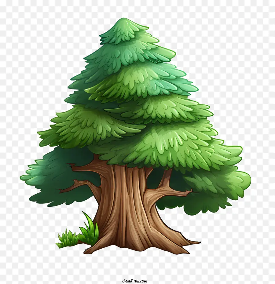 شجرة دائمة الخضرة，شجرة PNG
