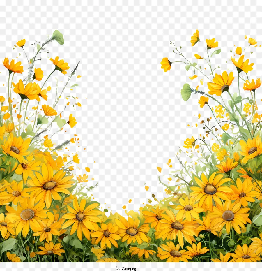 الزهور الصفراء，ديزي PNG