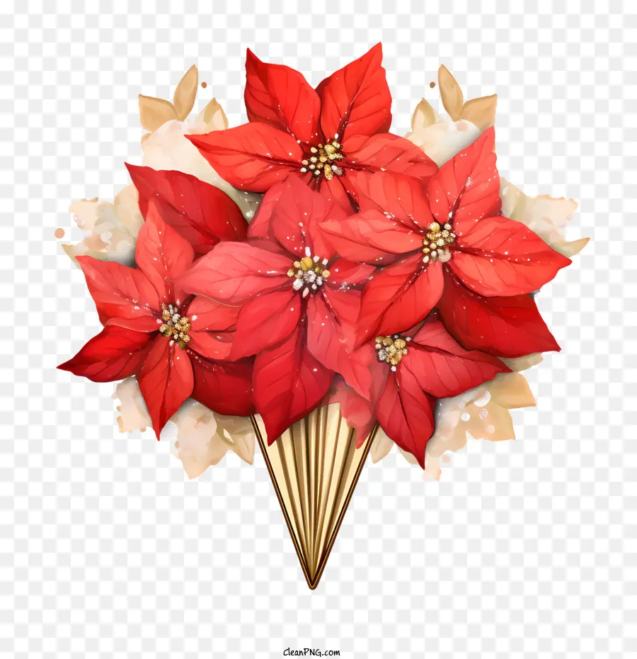 زهرة البونسيت，بونسيتيا الحمراء PNG