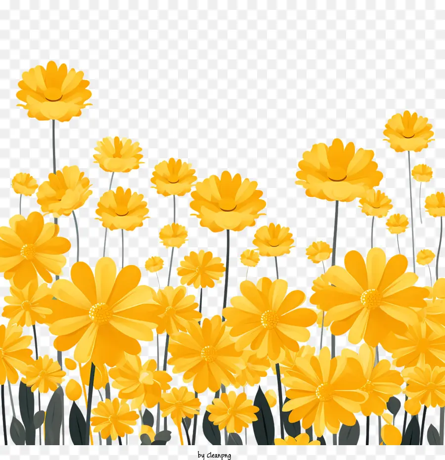 الزهور الصفراء，الزهور PNG