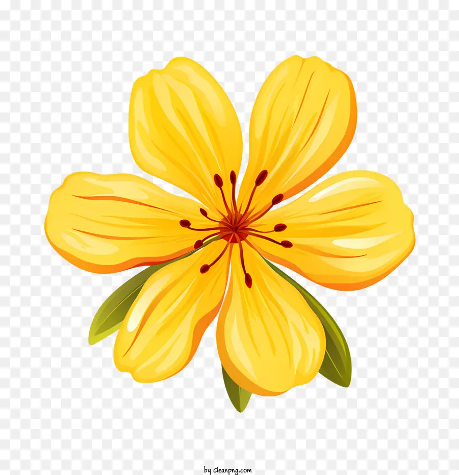 الزهور الصفراء，الأصفر PNG
