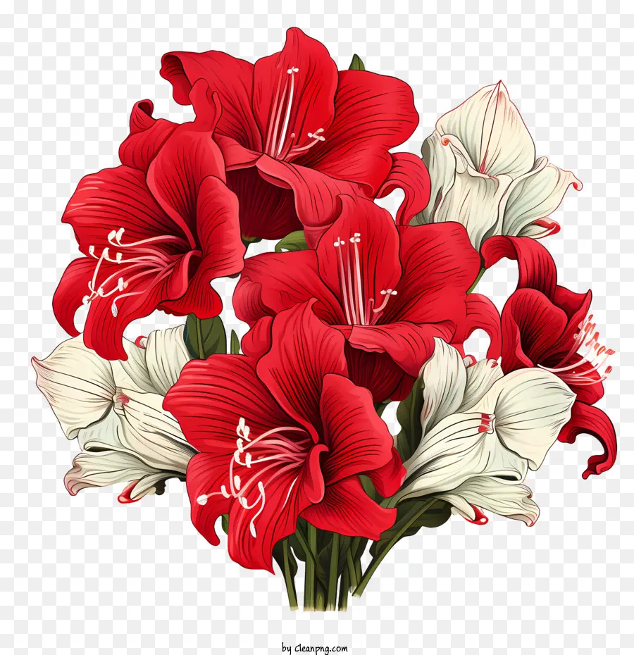 زهرة أماريليس，الزهور الحمراء PNG