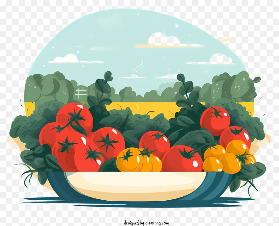وعاء من الطماطم，الطماطم الملونة PNG