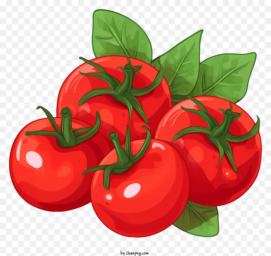 الطماطم الحمراء，خلفية سوداء PNG