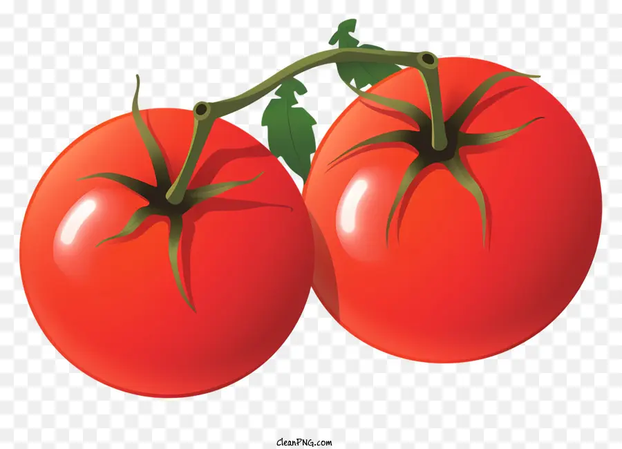 قرب，الطماطم الناضجة PNG