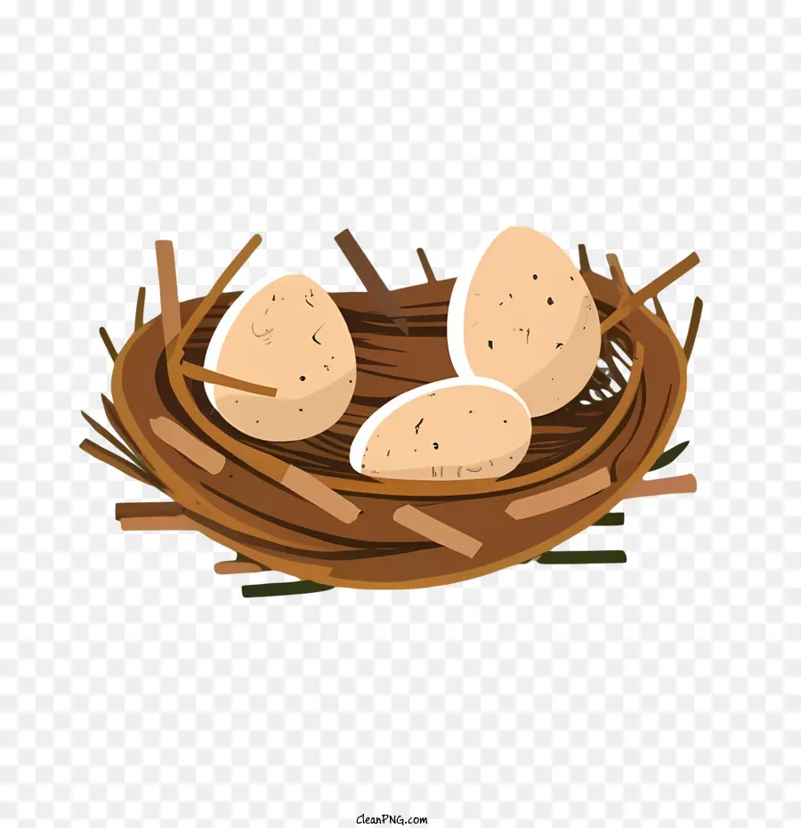 بيض الكرتون，البيض PNG
