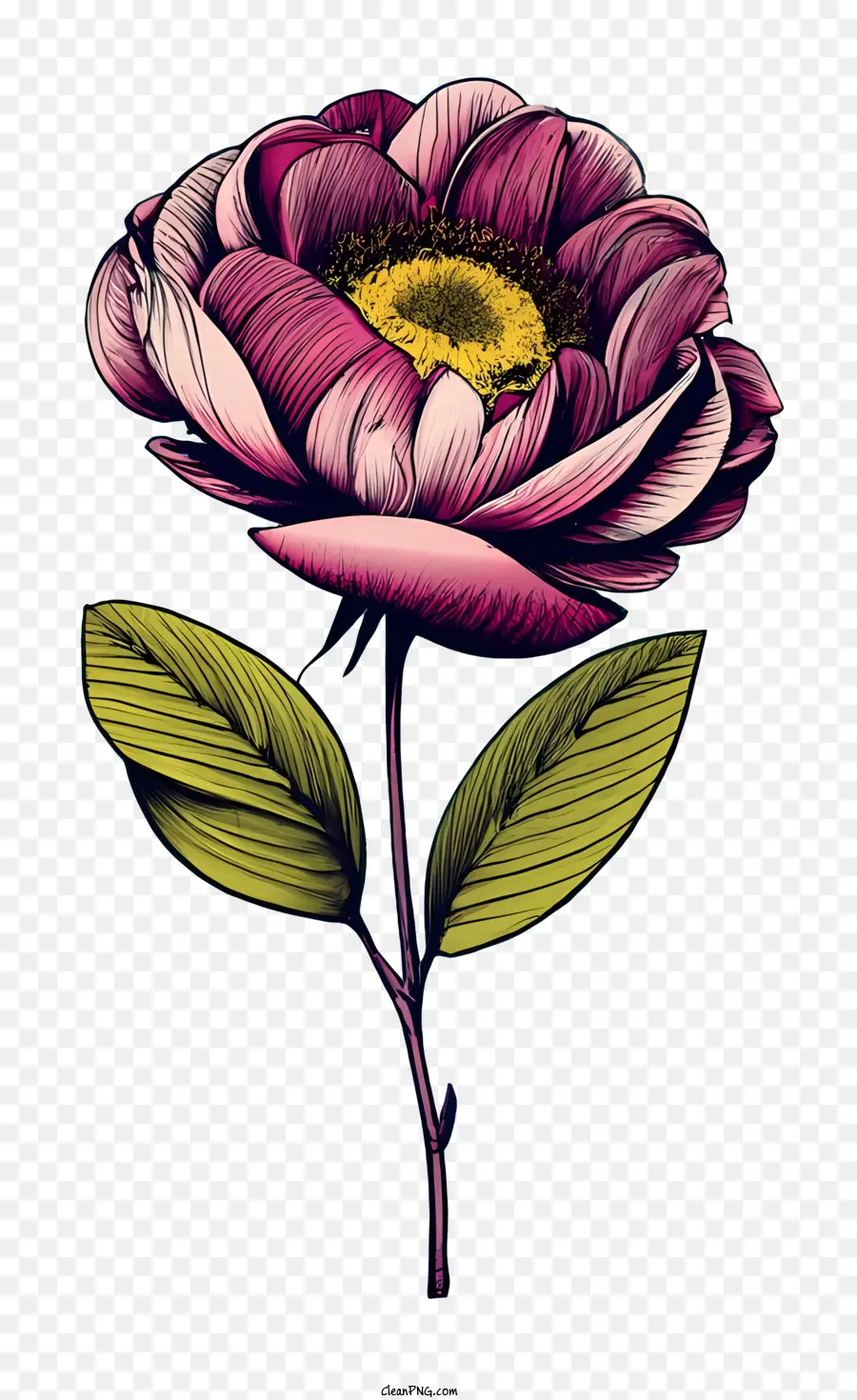 خمر ارتفع，زهرة الوردي PNG